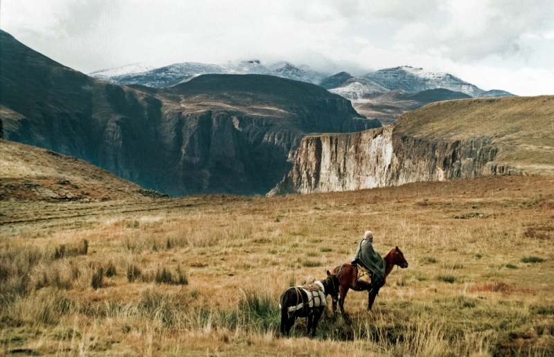 13-Lesotho_Horse