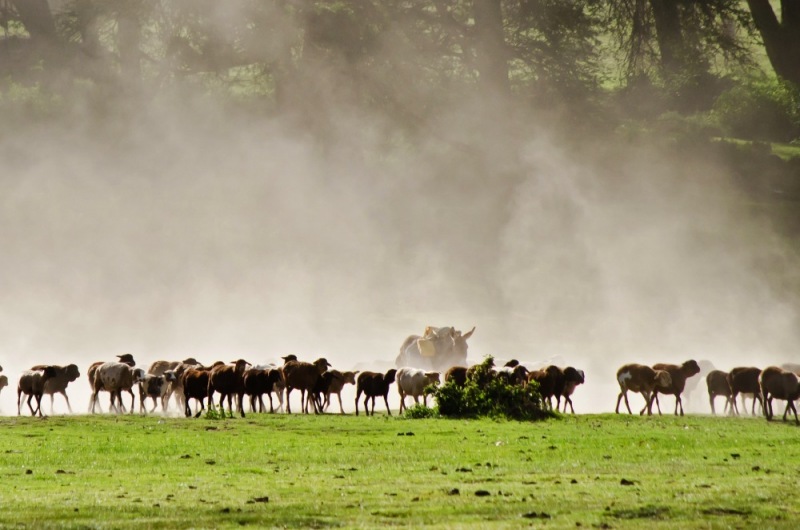 c28-18-Kenya-2011-Hells_Gate-048