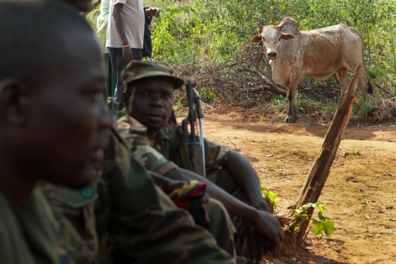 Cattle Wars & Peace Villages
