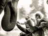 A family takes the opportunity to touch an elephant between shows at a roving circus in McMinnville, Oregon, USA.