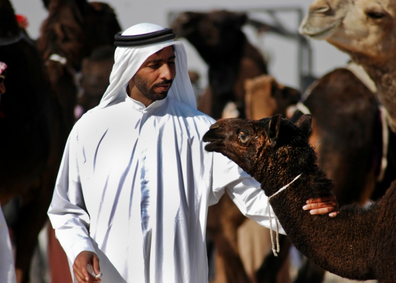 01-Saudi_Camel_Market-3