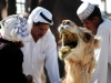 01-Saudi_Camel_Market-1
