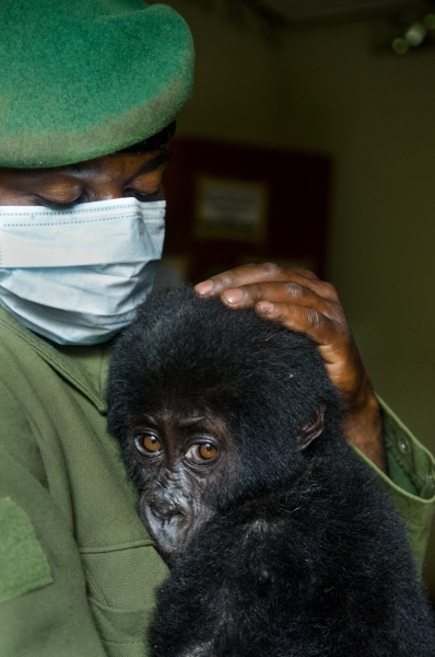 Virunga National Park, DRC