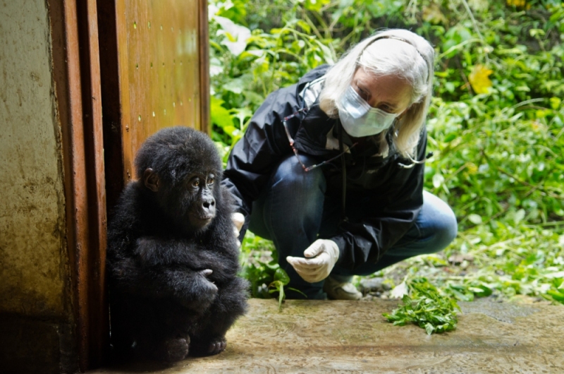 Virunga National Park, DRC