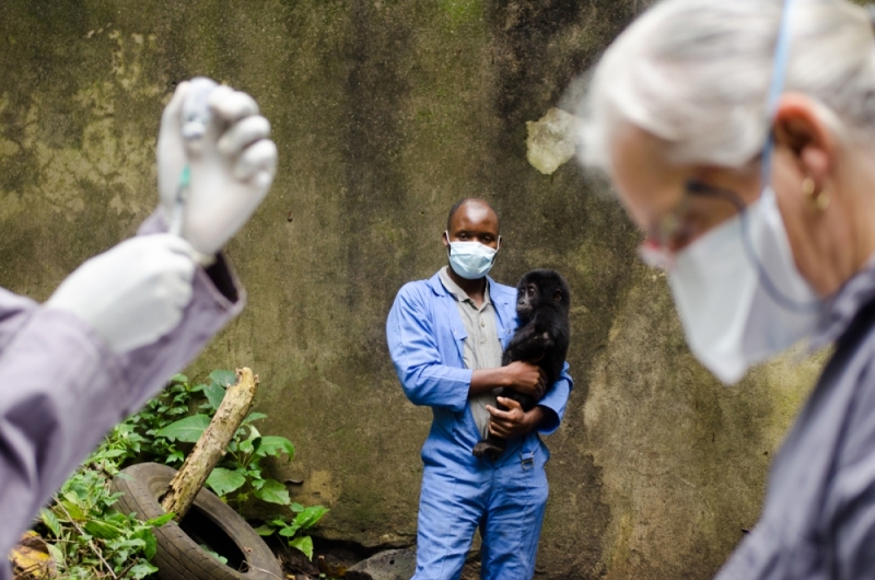 Virunga National Park, DRC