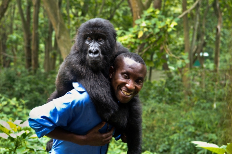 Virunga National Park, DRC