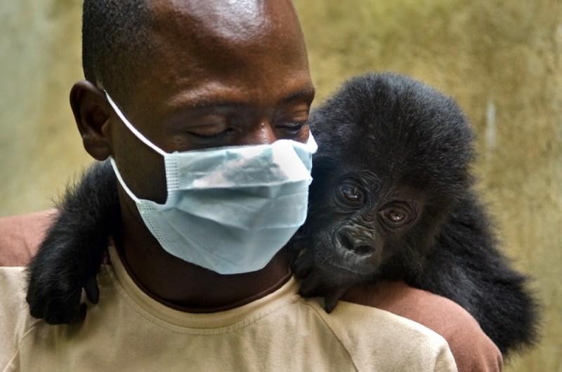 Virunga National Park, DRC