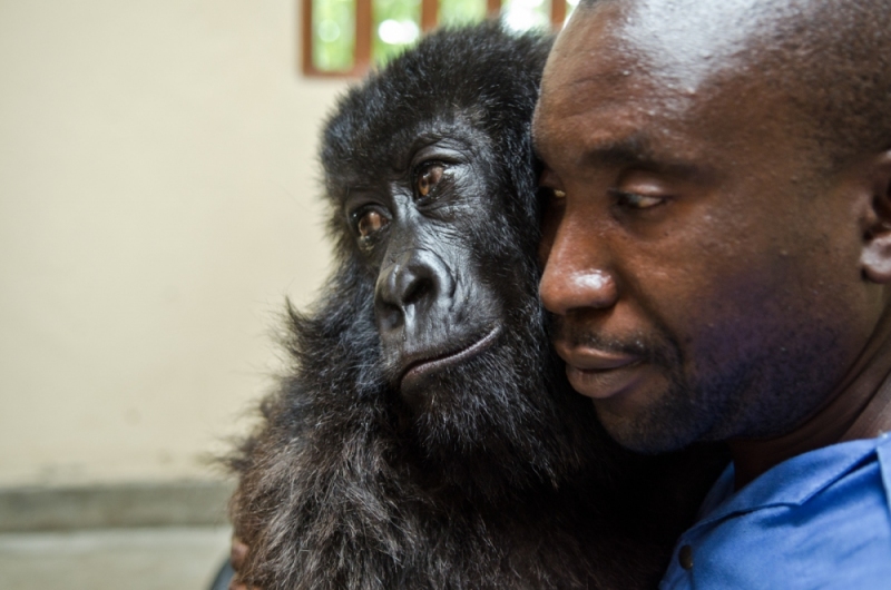 Virunga National Park, DRC