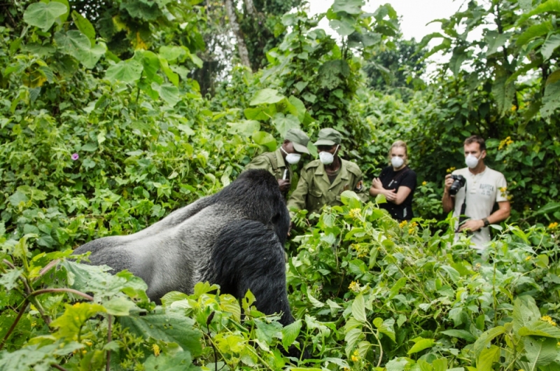 Virunga National Park, DRC