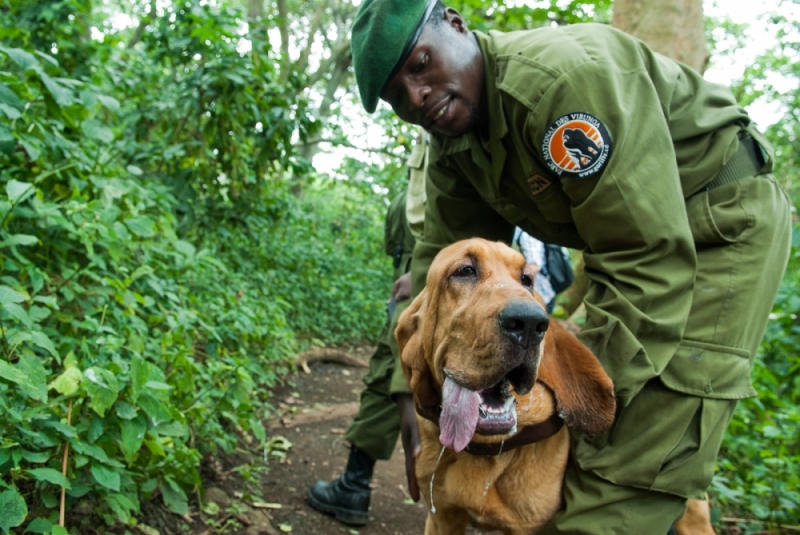 Virunga National Park, DRC