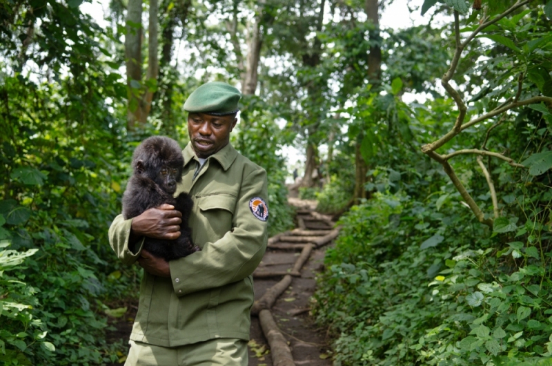 Virunga National Park, DRC