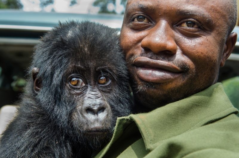 Virunga National Park, DRC