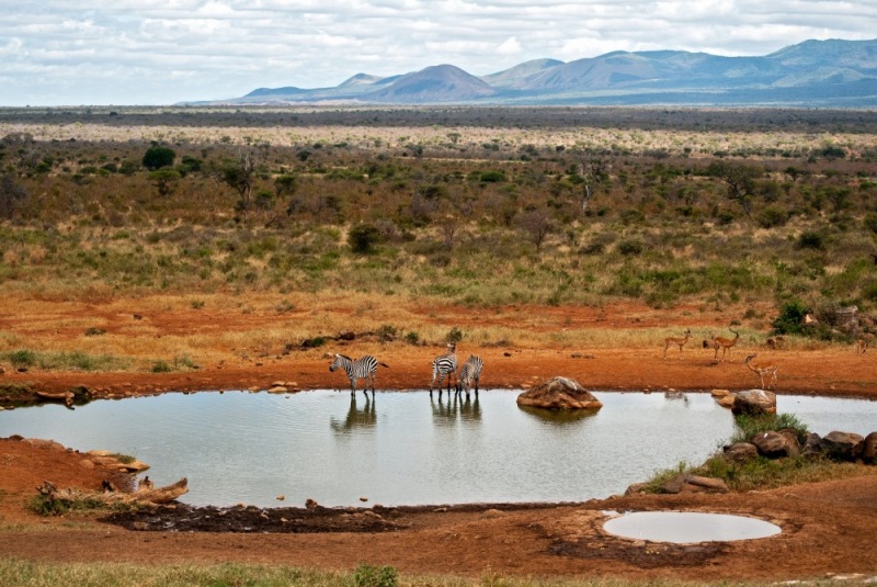 17Tsavo_Scenery-1